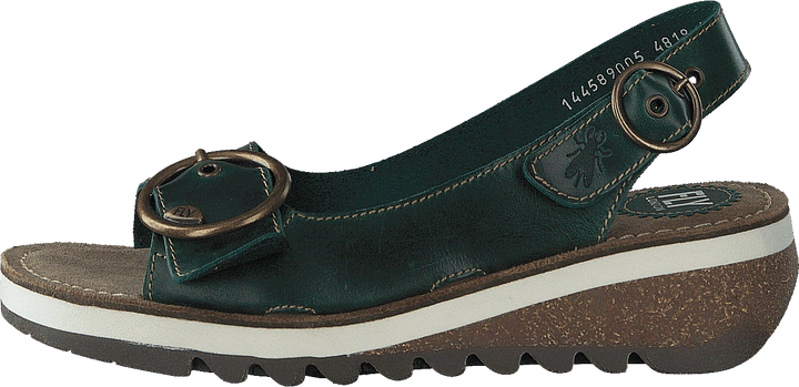 Elétrico 2 Bridle-petrol