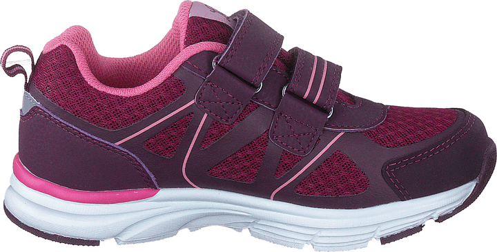 Hamar Lilac