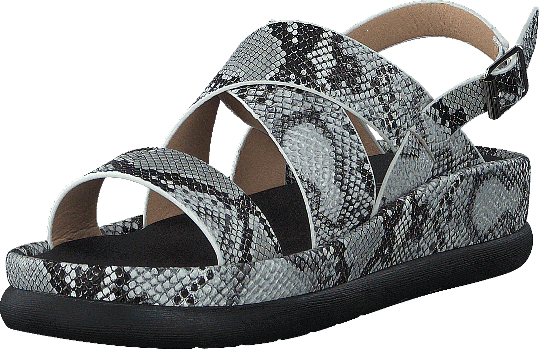 97-09095 Noir/blanc