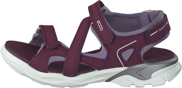 "Biom Raft Aubergine