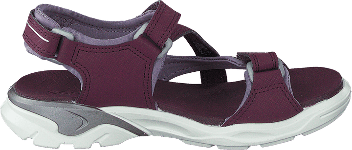 "Biom Raft Aubergine