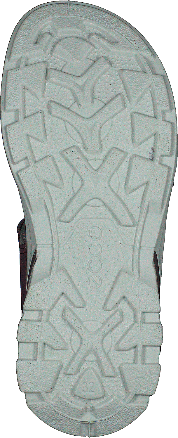 "Biom Raft Aubergine