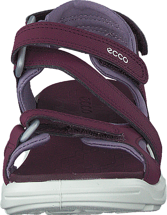 "Biom Raft Aubergine