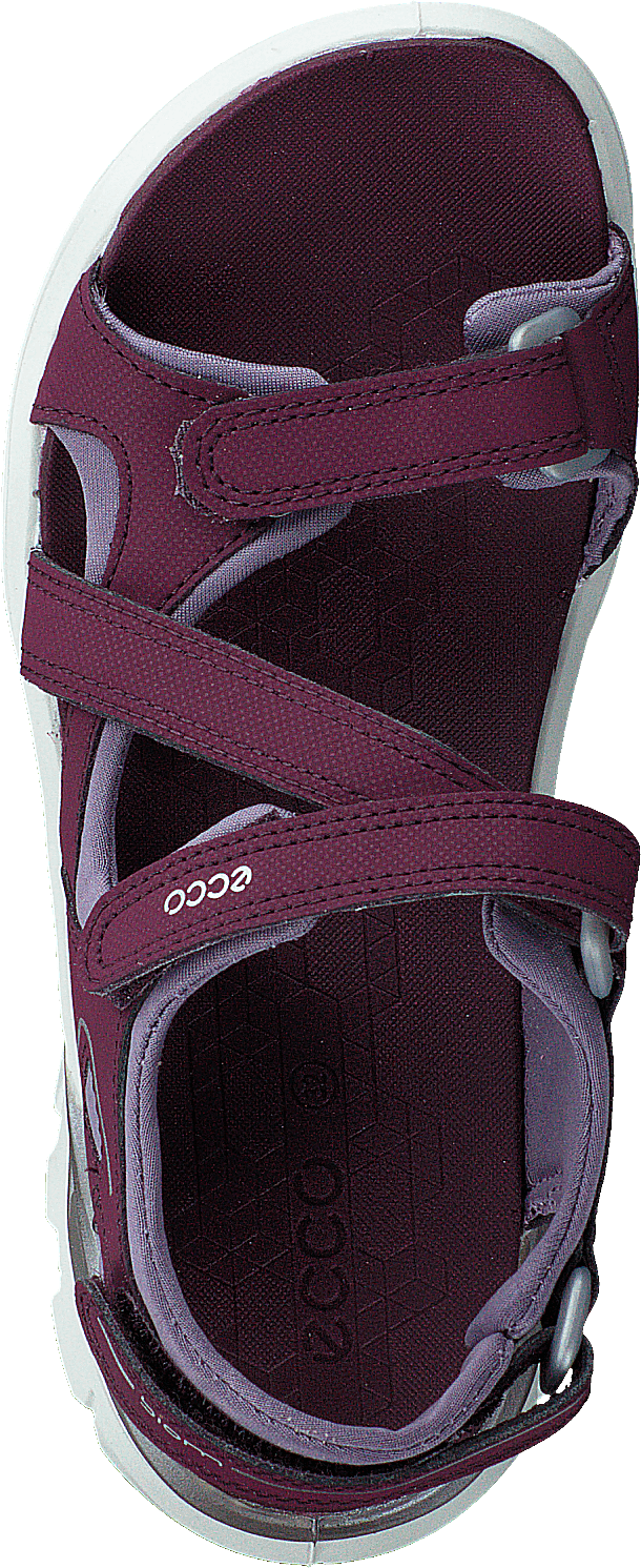 "Biom Raft Aubergine