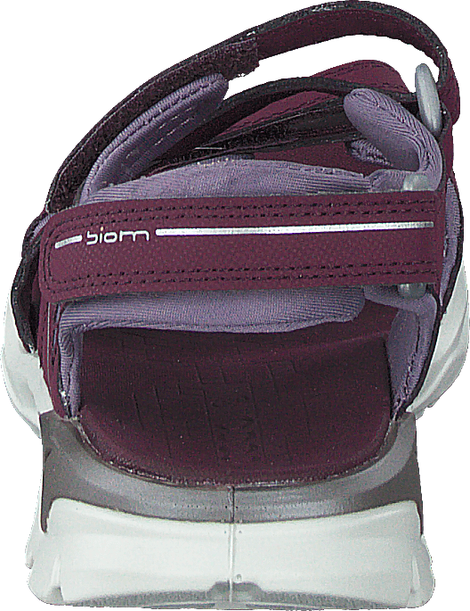 "Biom Raft Aubergine