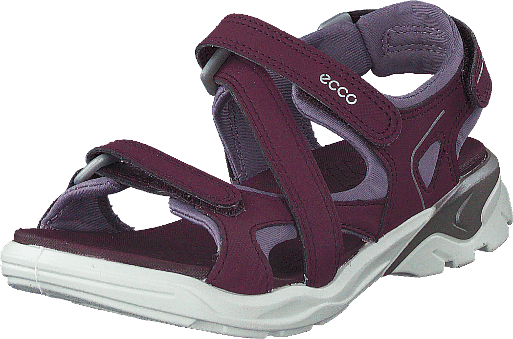 "Biom Raft Aubergine