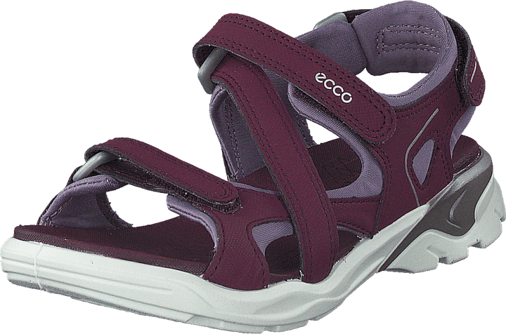 "Biom Raft Aubergine