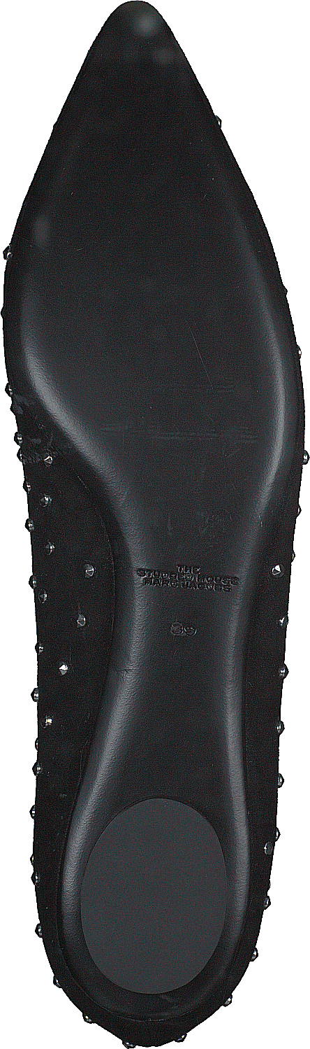 El ratón tachonado Negro