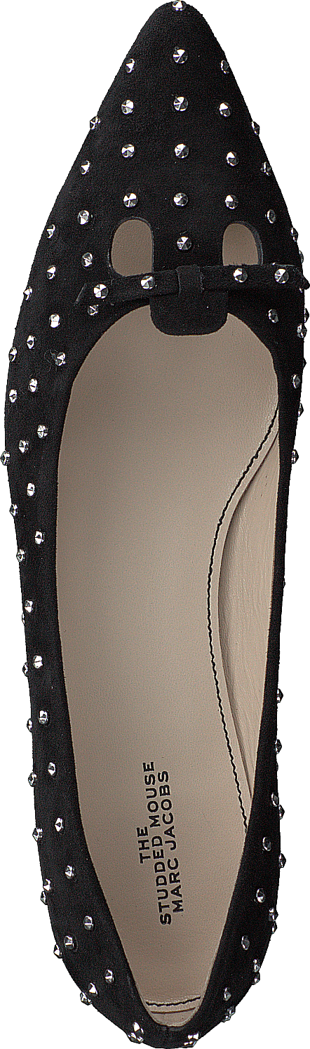 El ratón tachonado Negro