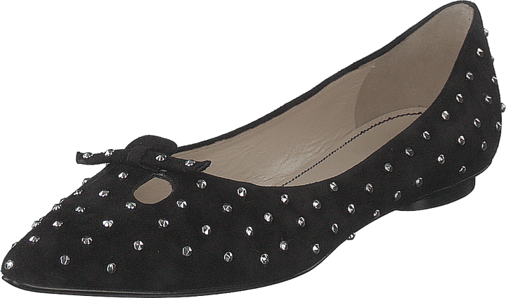 El ratón tachonado Negro