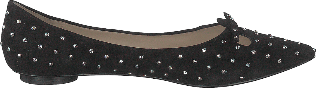 El ratón tachonado Negro