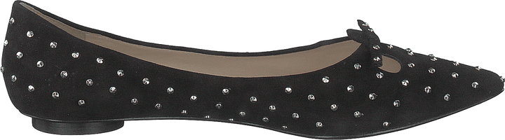 El ratón tachonado Negro