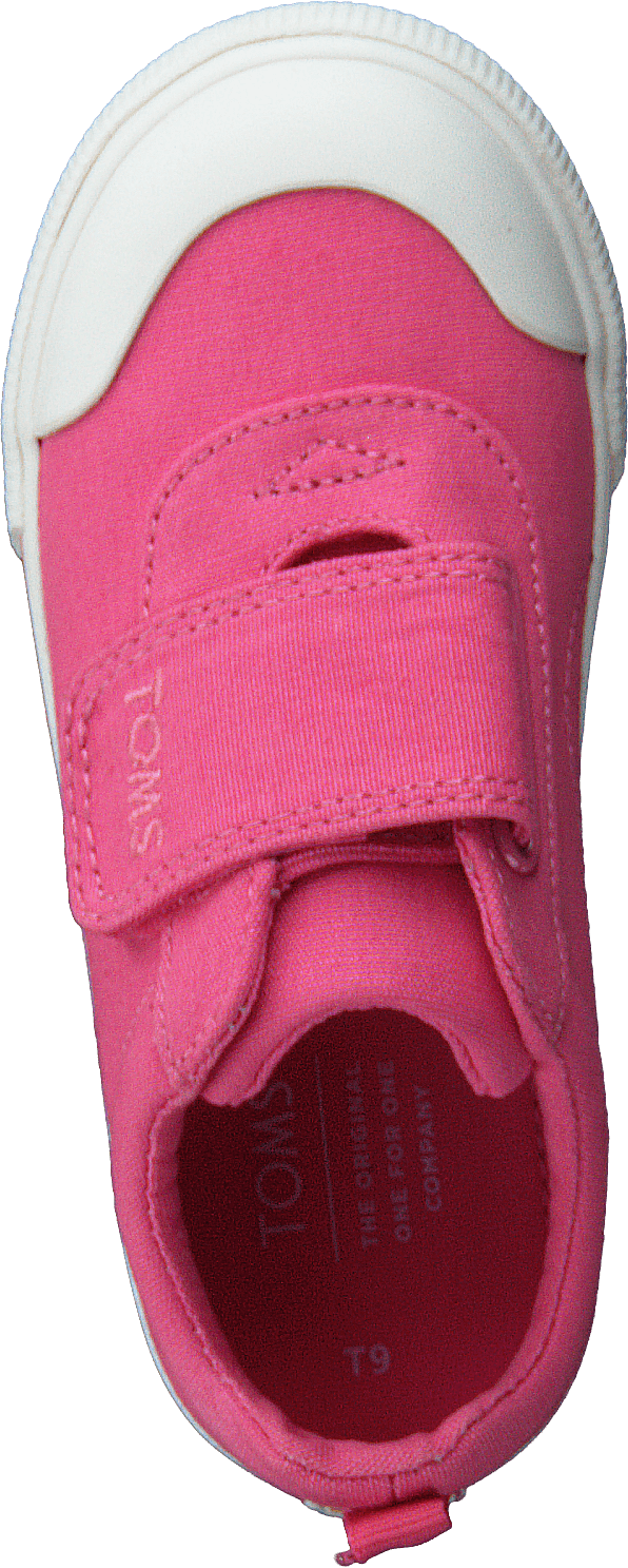 Bblgum Pnk Canvas Tn Dohny Sne Pink