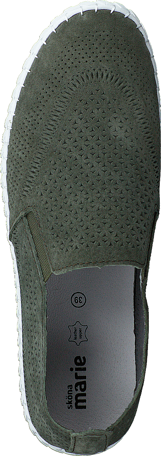 Holly  tmavě zelená