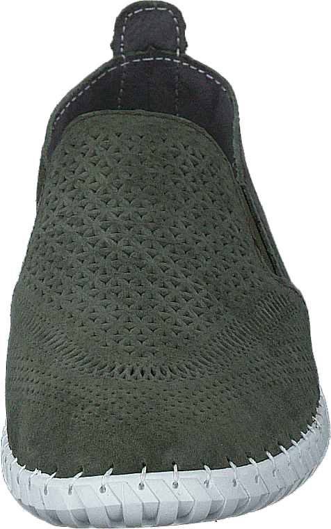 Holly  tmavě zelená