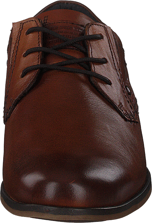 451-8568 Cognac