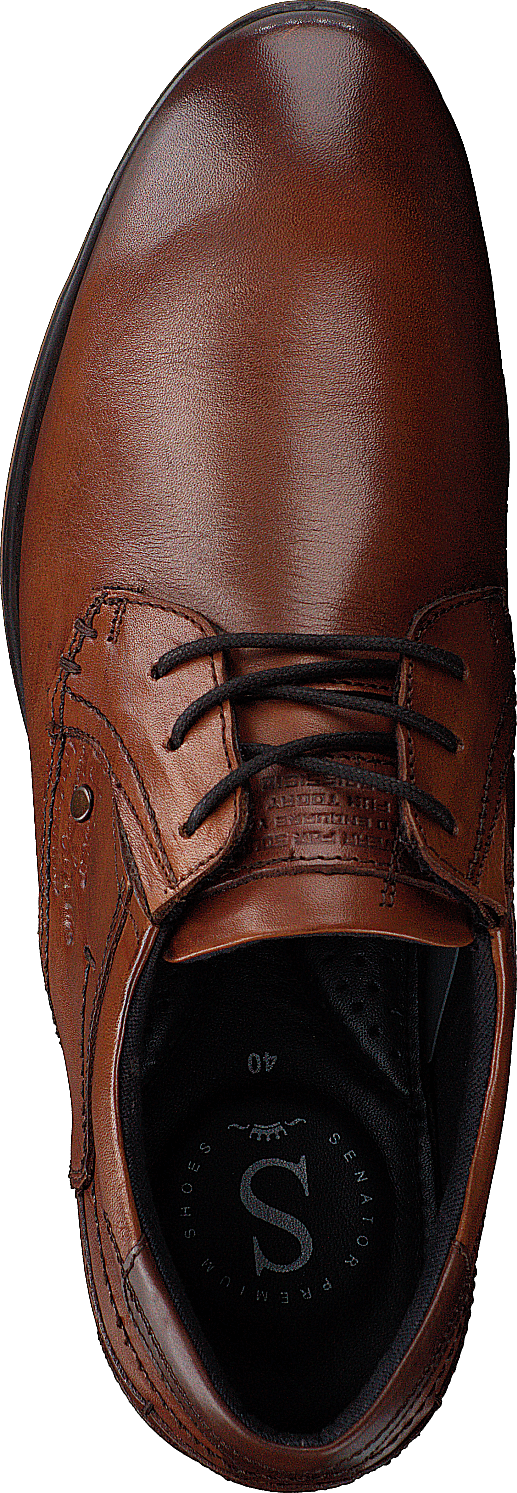 451-8568 Cognac