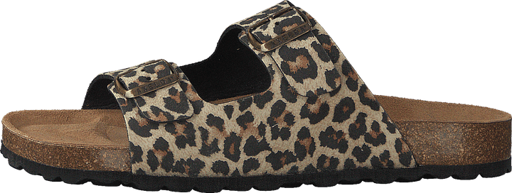 Charlie Kastanie/Leopard