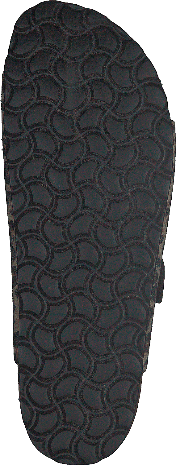 Charlie Kastanie/Leopard