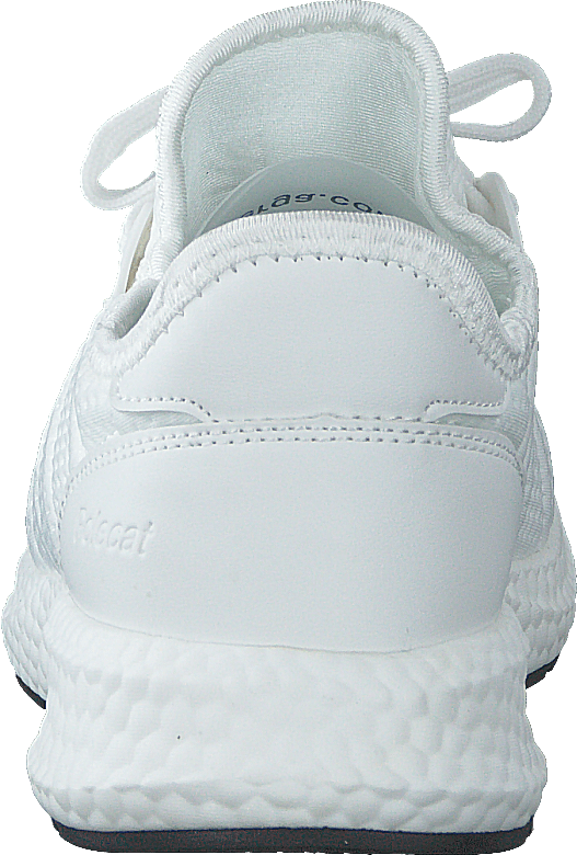 441-6267 Bianco
