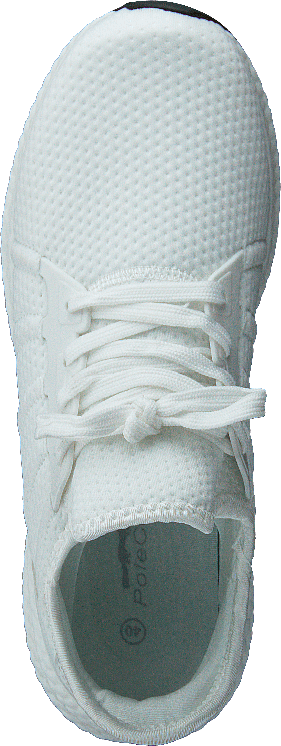 441-6267 Bianco