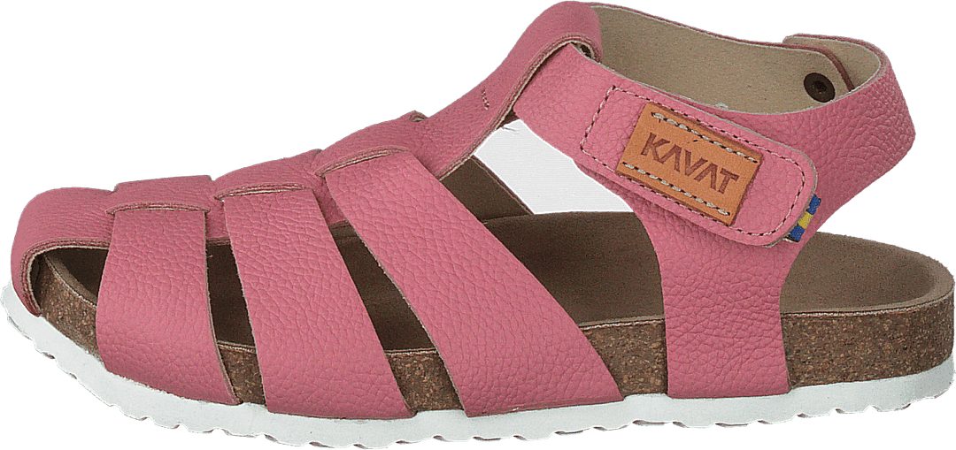 Gopshus Ep Gebrande Abrikoos