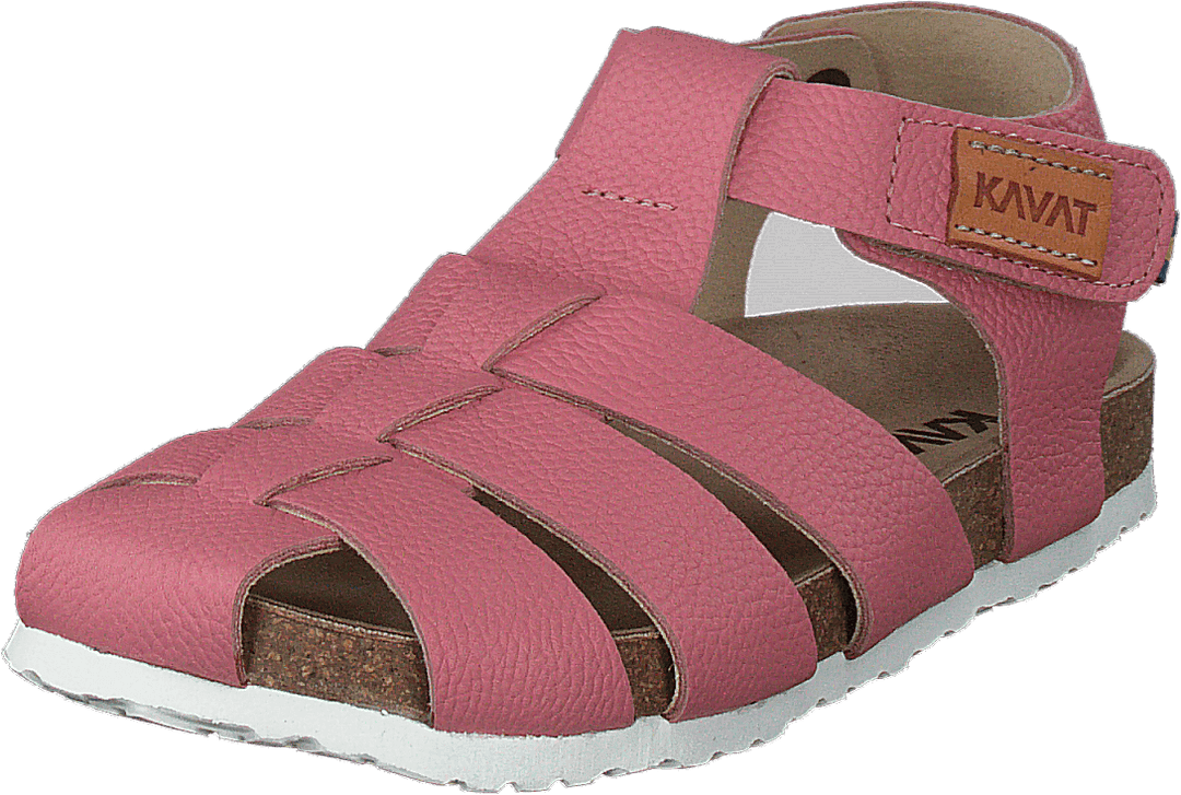 Gopshus Ep Gebrande Abrikoos