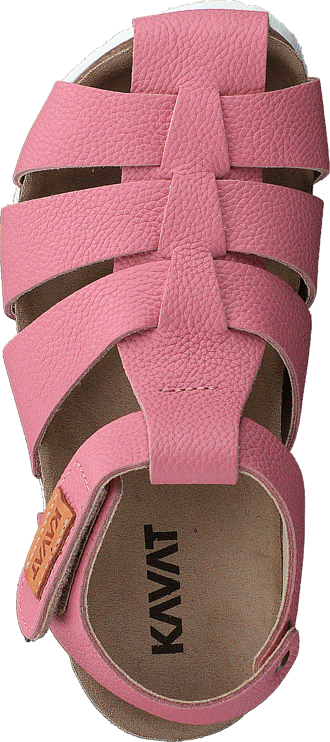 Gopshus Ep Gebrande Abrikoos