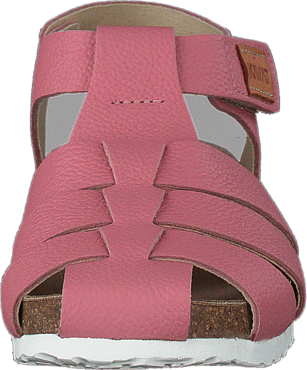 Gopshus Ep Gebrande Abrikoos