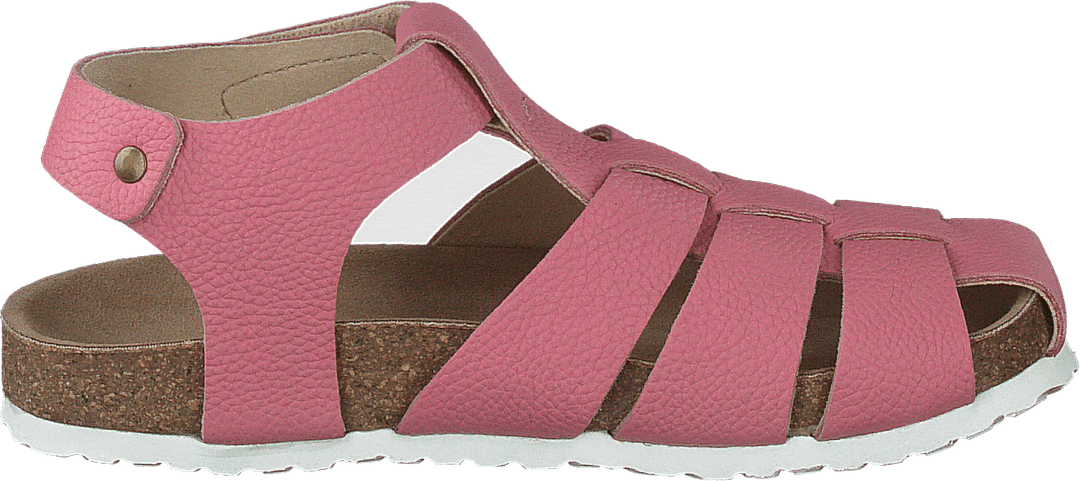 Gopshus Ep Gebrande Abrikoos