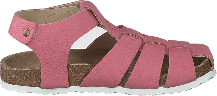 Gopshus Ep Gebrande Abrikoos