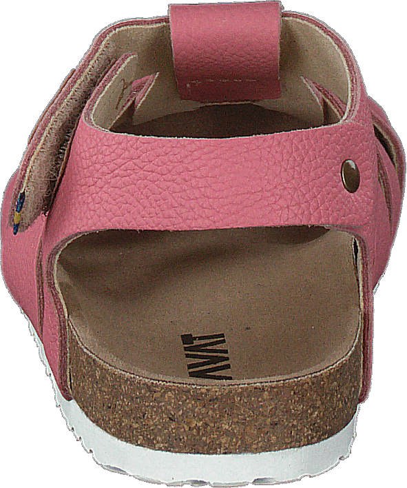 Gopshus Ep Gebrande Abrikoos