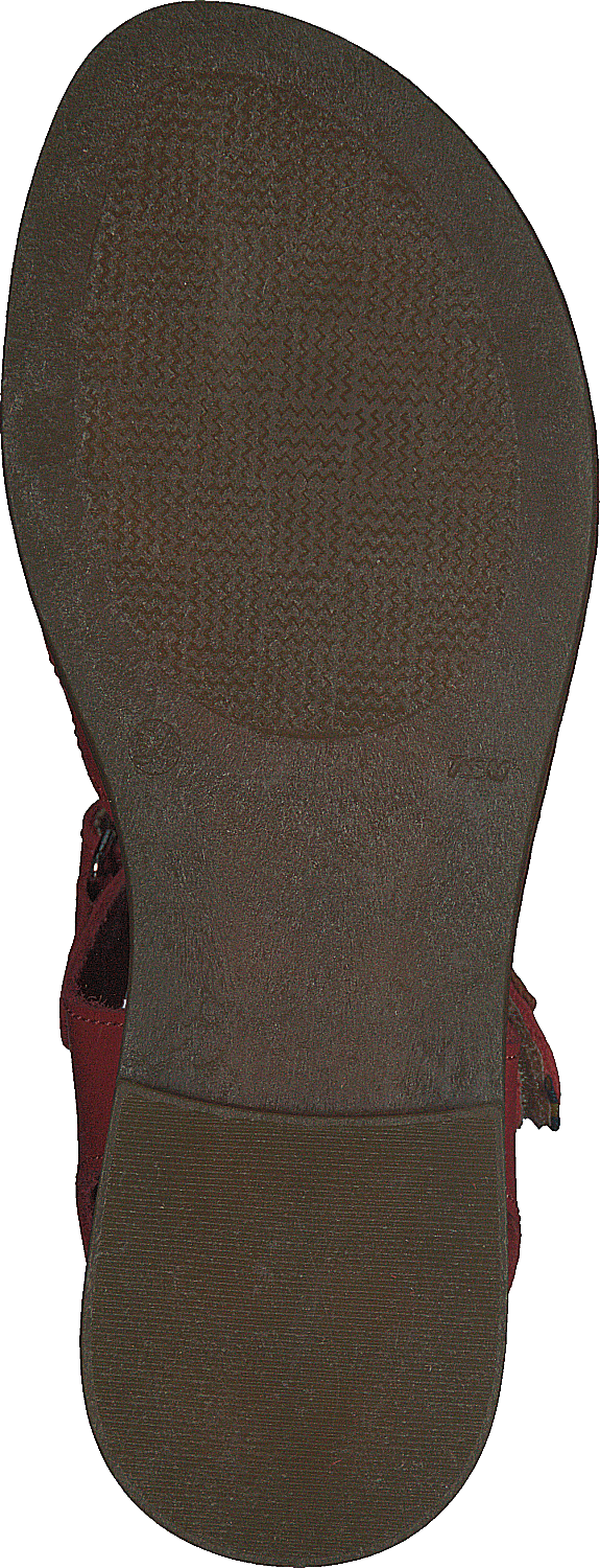 Mala Ep Porseleinen Roos