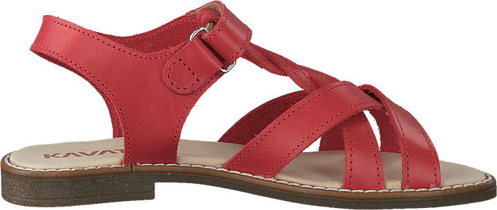 Mala Ep Porseleinen Roos