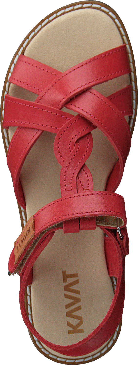 Mala Ep Porseleinen Roos