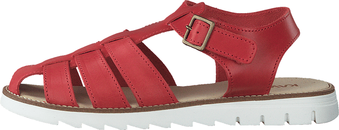 Riste Ep Porcelain Rose