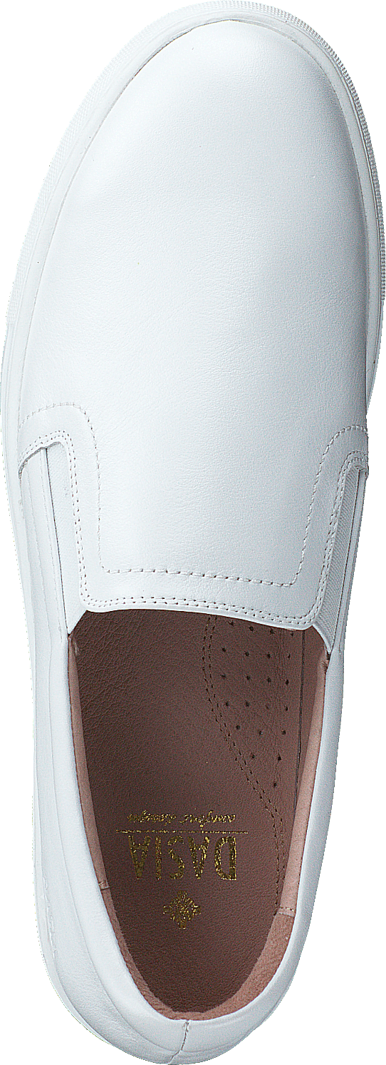 Starlily Plane White