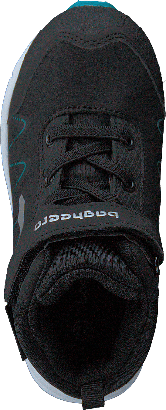 Vipère Noir/turquoise