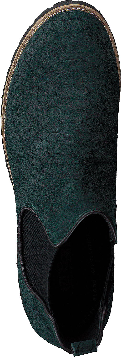 Streik Forrest Green