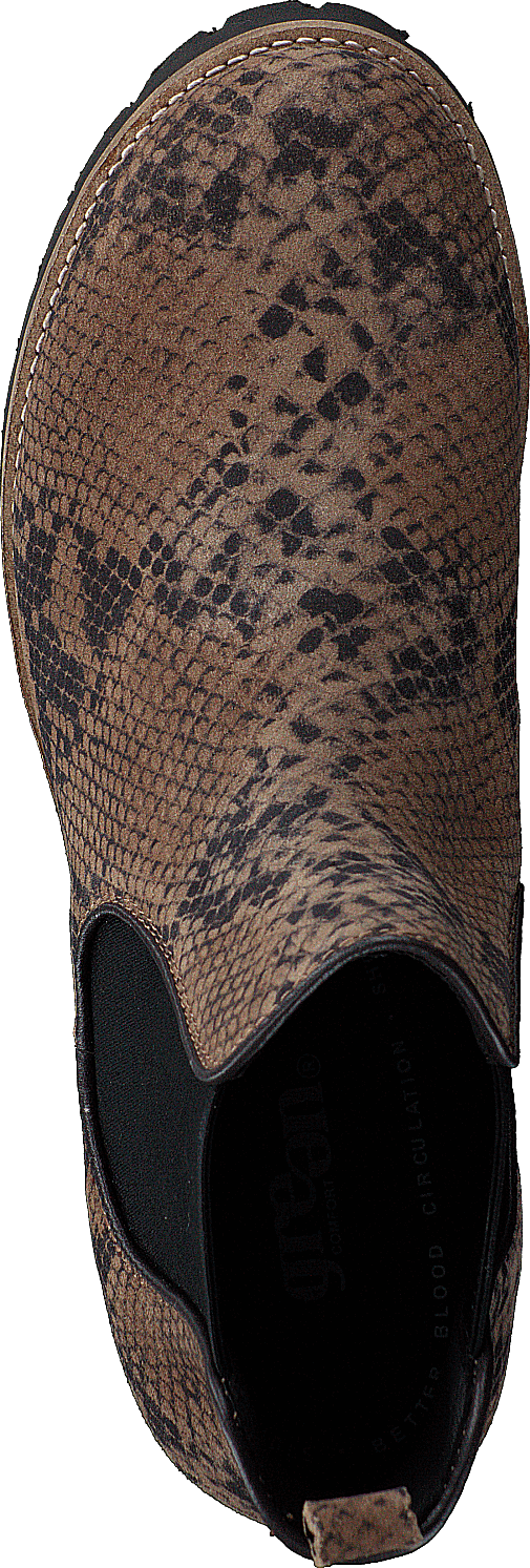 Strike Taupe (Schlange)