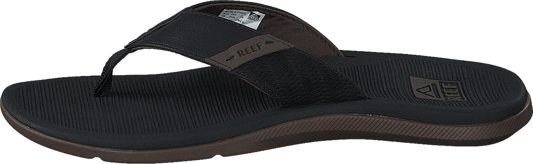 Récif Santa Ana Black
