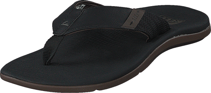 Récif Santa Ana Black