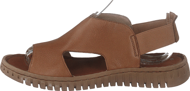 483-4926 Cognac