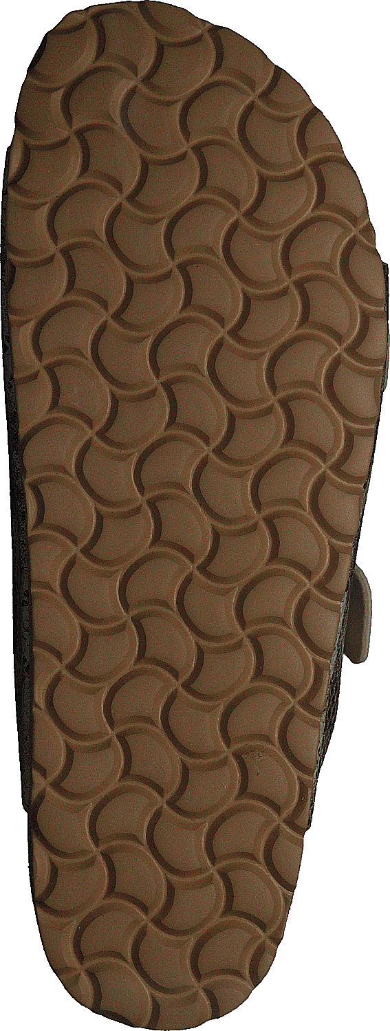 Charlie Sand Snake