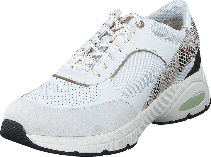 D Alhour White/off White