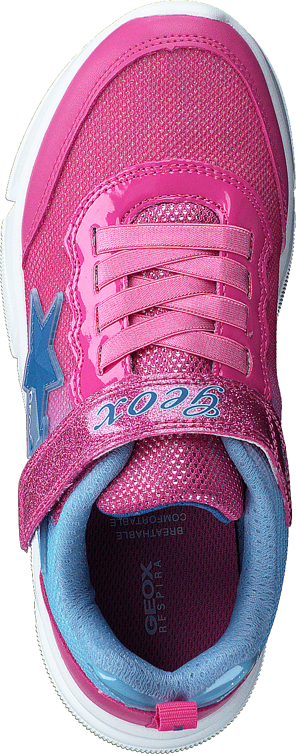 J Aril Girl Fuchsia/Himmel