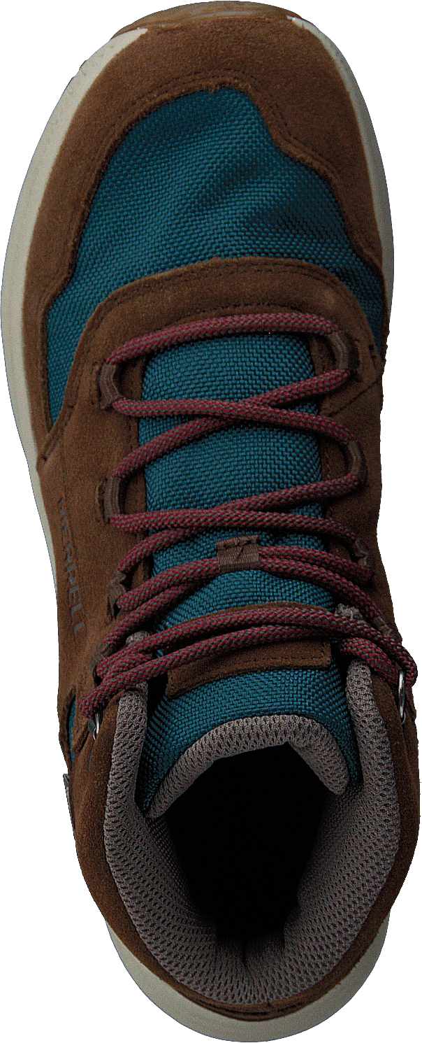 M-ontario 85 Wtrpf Dragonfly