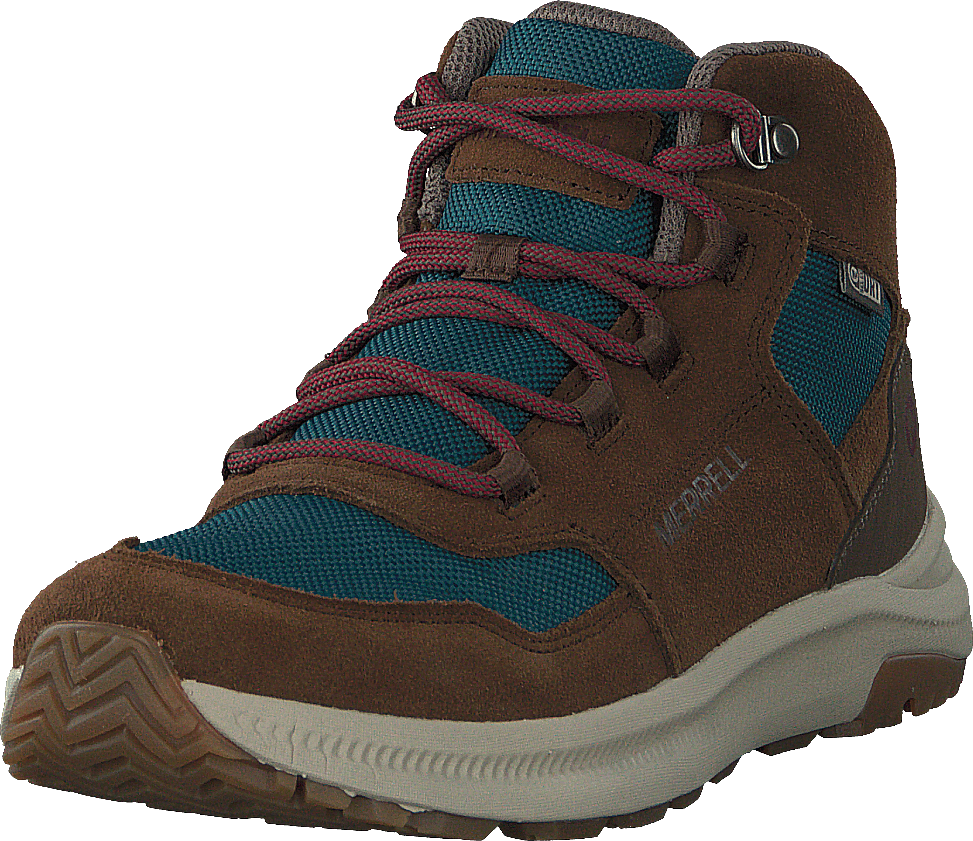 M-ontario 85 Wtrpf Dragonfly