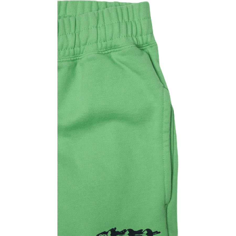 Pantalon Gnarcore Vert