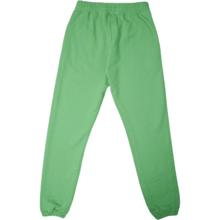 Pantalon Gnarcore Vert